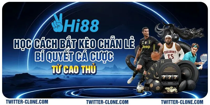 Học cách bắt kèo chẵn lẻ: Bí quyết cá cược từ cao thủ